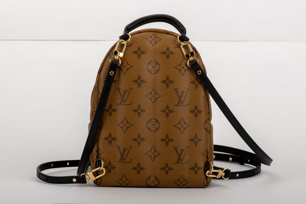 Louis Vuitton Palm Springs Mini Backpack - Vintage Lux