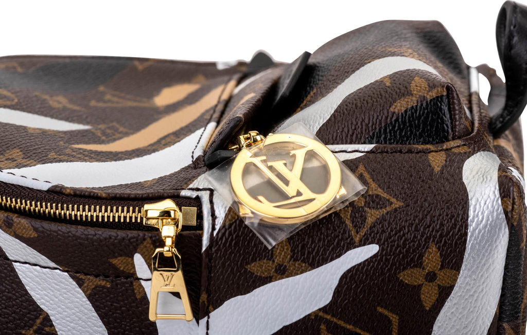 Louis Vuitton Camo Mini Backpack