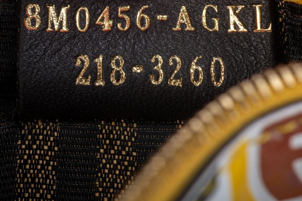 Fendi x Sarah Coleman Coin Purse