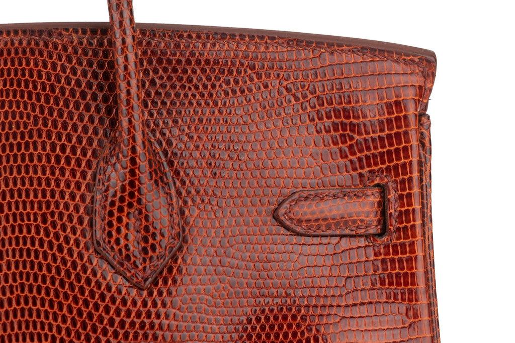 Hermès Birkin 25 Brique Lizard Palladium