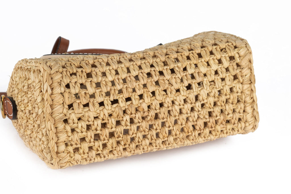 Louis Vuitton New Nano Raffia Speedy