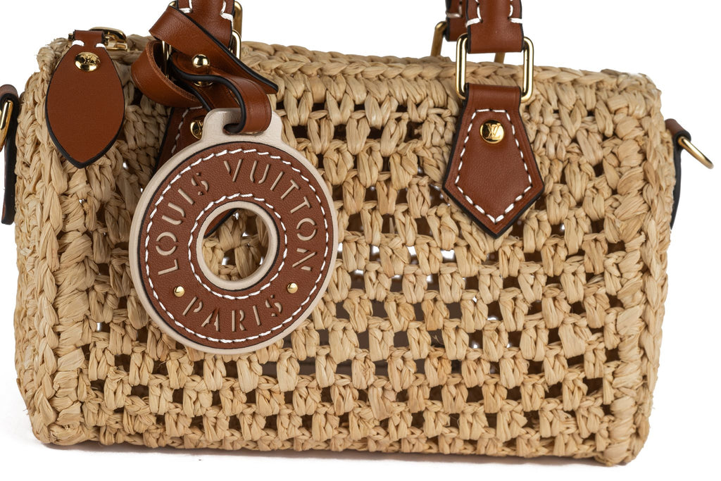 Louis Vuitton New Nano Raffia Speedy