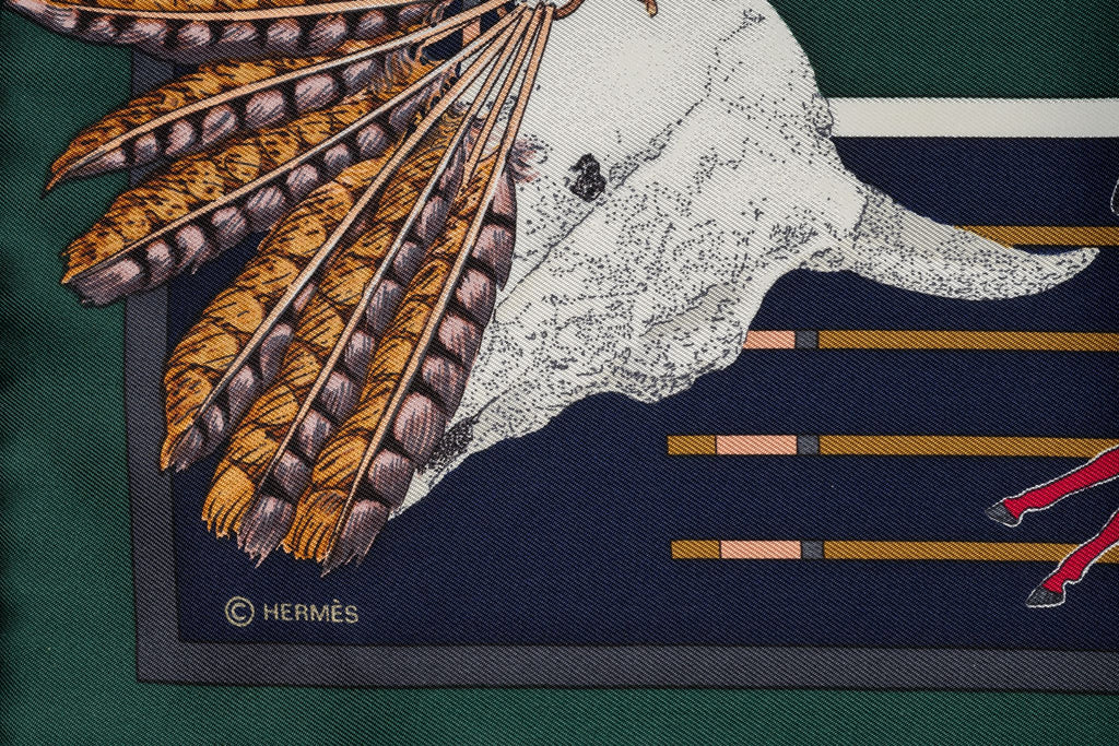 Hermès New "Pani la Shar Pawnee" Scarf