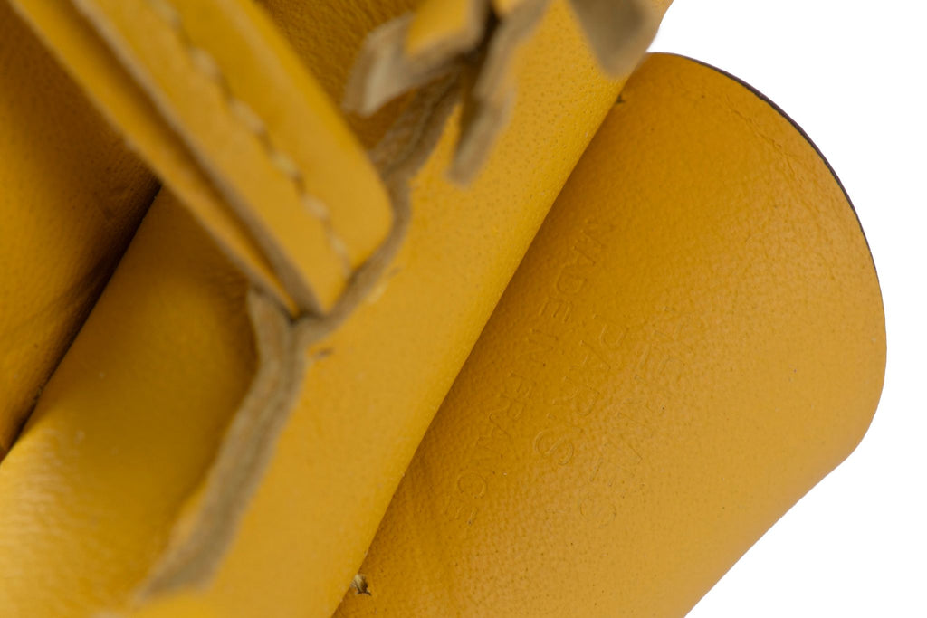 Hermès NIB Pegase Jaune Rodeo Charm